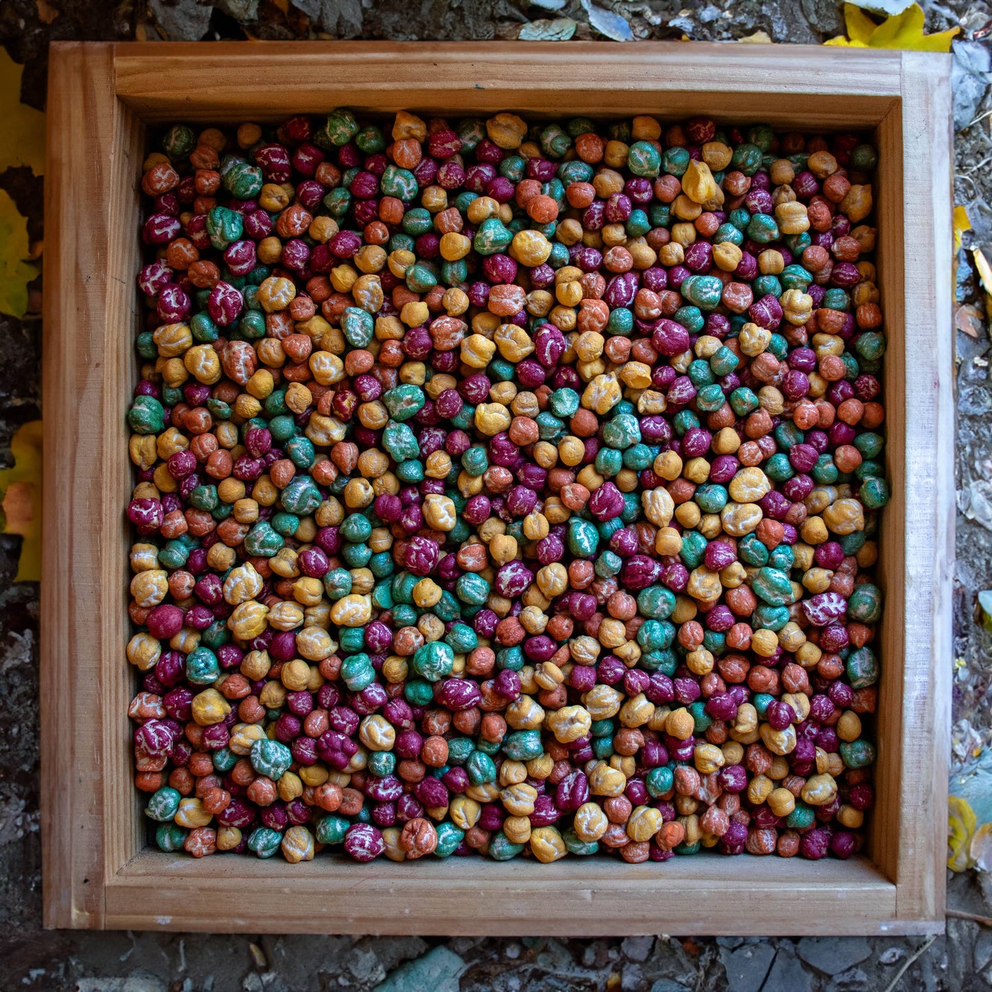 Autumn Day Sensory Bin Filler