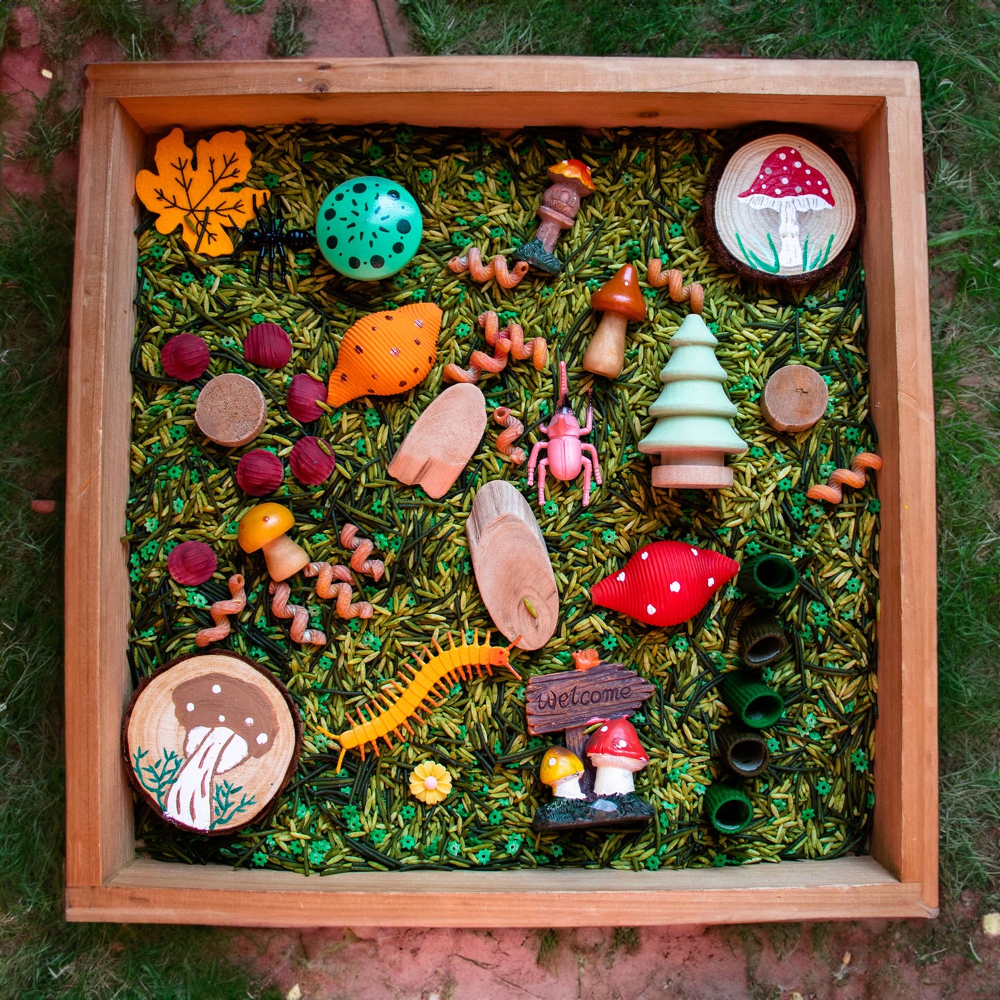Mushroom Sensory Bin