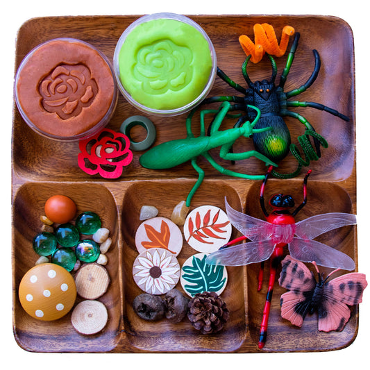 Bug Sensory Bin, Insect sensory bin, sensory bins, bug sensory kit, bug play dough kit, insect sensory kit, insect play dough kit, sand writing, games for 5 year olds, busy box for kids, activities for kids at home, art crafts, fidget toys for kids, playdoh kit, play doh kit